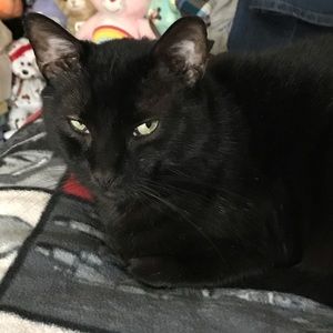 Meet your Posher, Michelle